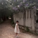 다은이네마켓 | 2019년 여행 총정리! - 방콕, 홋카이도, 교토, 사이판, 괌, 발리, 푸꾸옥, 타이베이!