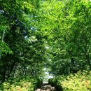 관산체육관 이미지