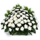 주안영안실 이미지