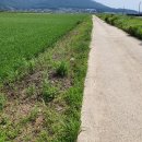 하버드작은도서관 이미지