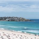 블루마운틴관광호텔 이미지