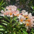 가자먹으로 이미지