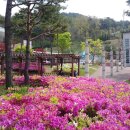 홍성추모공원