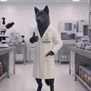 주식회사 생태경영연구원 | [수질환경] 폐수 방류수, 이화학적 검사로 끝일까? '생태독성(TU)' 검사의 필수성과 분석 방법 완벽 가이드