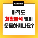 옐로우짐두류 이미지