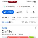 부산 신항 가는 버스 이미지