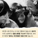 'Netizen 신비동물의 왕국' 2017. 10. 29(일요특집) 이미지