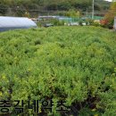 경중농장 이미지