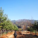 반곡관설동 행정복지센터 이미지