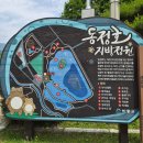 다원모바일 - 군포시 산본로323번길 10-22 | 하동 반값여행' 신청 방법부터 최참판댁, 동정호, 화개장터, 밤톨, 도심다원까지 당일치기 완벽 코스!