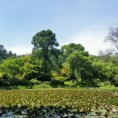 광릉수목원 이미지