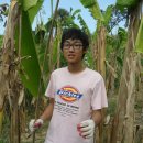 가오농장2 이미지