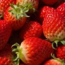 딸기네샵 이미지