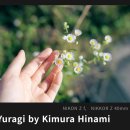 커피 레시피 | 부산 초읍 어린이 대공원 근처 카페 오몬드 커피 스토어 : 니콘 이미징레시피 촬영 후기