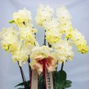 안성동인요양병원 이미지