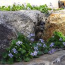 소박한밥상 이미지