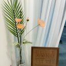 엘리몽(ellimong) 이미지