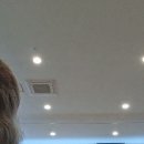 플룻 Daum카페