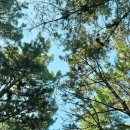 송죽가헌 이미지