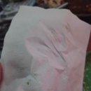 광명로 16번길 | 새로 오픈한 을지포차 모란점 내돈내산 솔직 후기🍻