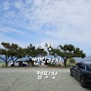 포항 _ 바다 뷰로 유명한 포항 썬빌리지 오토캠핑장