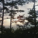 가야동원로얄듀크 이미지