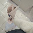 남대문언니 이미지