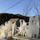 반스힐리조트 | 강원도 홍천 애견 동반 펜션 반스힐리조트 펜트하우스 숙박후기