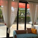 이쁘개 강아지 이발소 이미지