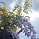 죽전동 행정복지센터 이미지