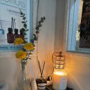 대성자동차정비 | 부산 수영구 예윤에스테틱 아로마 디톡스 관리 추천 클래식케어 솔직후기