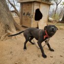 범이농장 이미지