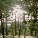 서울성수초등학교 이미지