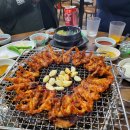 못말리는꼼장어 이미지