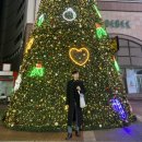 만남의 광장 | 대구 크리스마스 트리 명소 달성군 다사 만남의 광장 후기