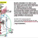 궁을반야여래장 72강-본각(본래부처)-불각(중생)-시각(여래장)_전도몽상을 벗어나 구경열반으로 아뇩다라삼먁삼보리 증득_유여열반과 무여열 이미지