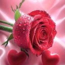 Never gonna fall in love again_ Eric Carmen/ AC/DC - Hells Bells 이미지