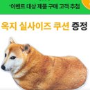 지티헬스케어 | 🐶 닥터G 레드 수분크림 대세일! 본품+추가크림+세럼+옥지 굿즈까지 한 번에 GET ✨