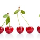 파파동물병원 이미지