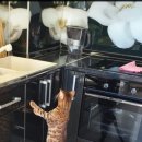 부산뱅갈하우스 이미지