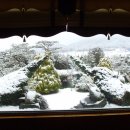 갈멜사슴농원 이미지