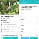 일본 고베 가볼만한곳 고베 동물왕국 입장권 시간 고베 아이랑 여행