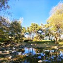 땅공원 | [가을나들이] 서울, 환생의 땅에 서다: 월드컵공원의 단풍 구경 후기