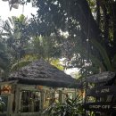 라브리사 이미지