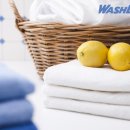 영원 세탁 이미지