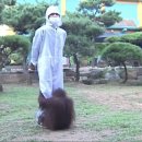 kimsungkyu 카카오 검색결과