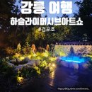 제3구경길 화진포 둘레길 | 강릉 가볼만한곳 하슬라이머시브아트쇼 경포호 둘레길 정보 후기