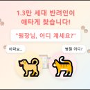 펫케어 동물병원 이미지