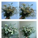 송현농장 이미지