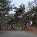 지산리약수터 이미지